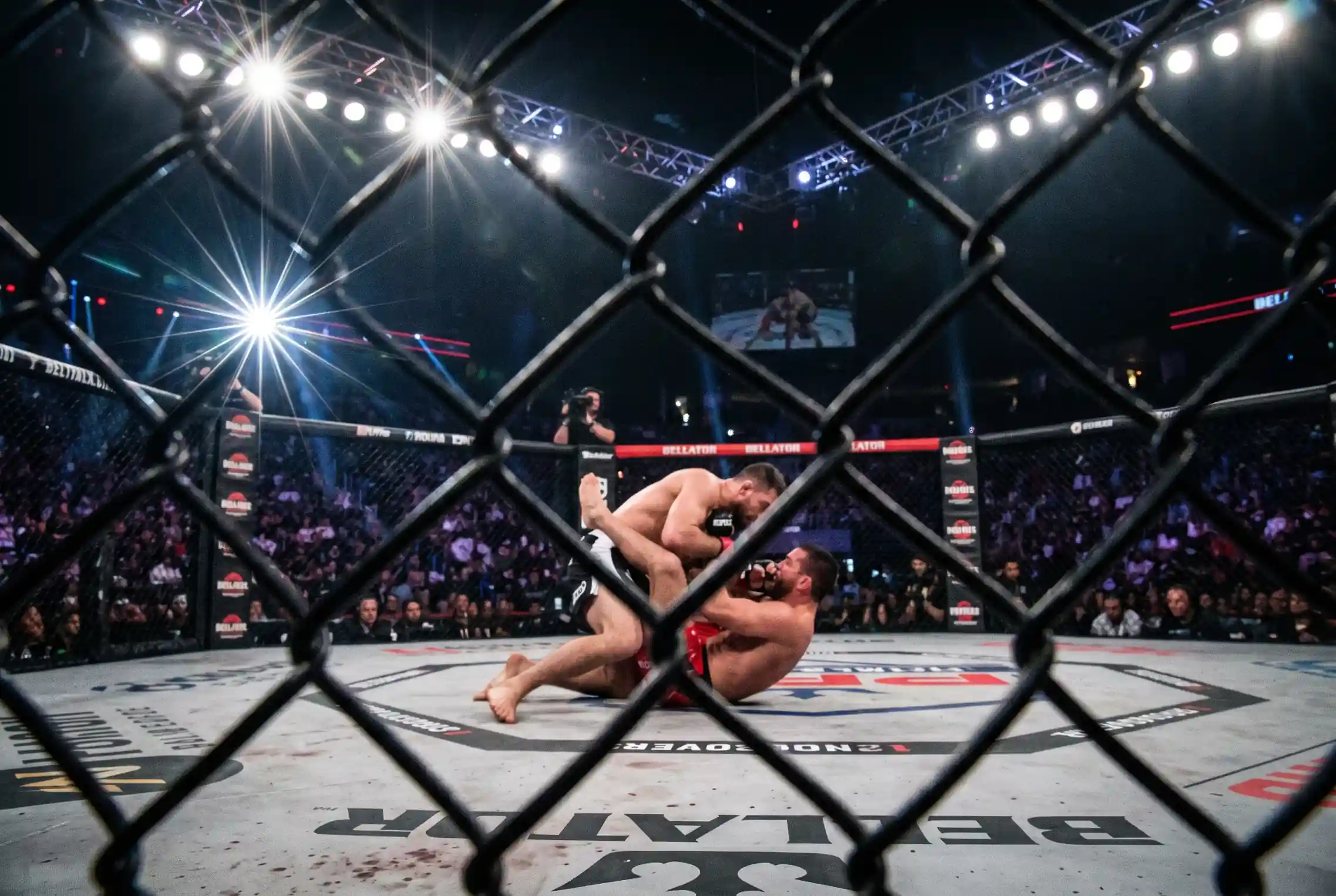 Bellator und PFL MMA Wetten als Alternative zur UFC