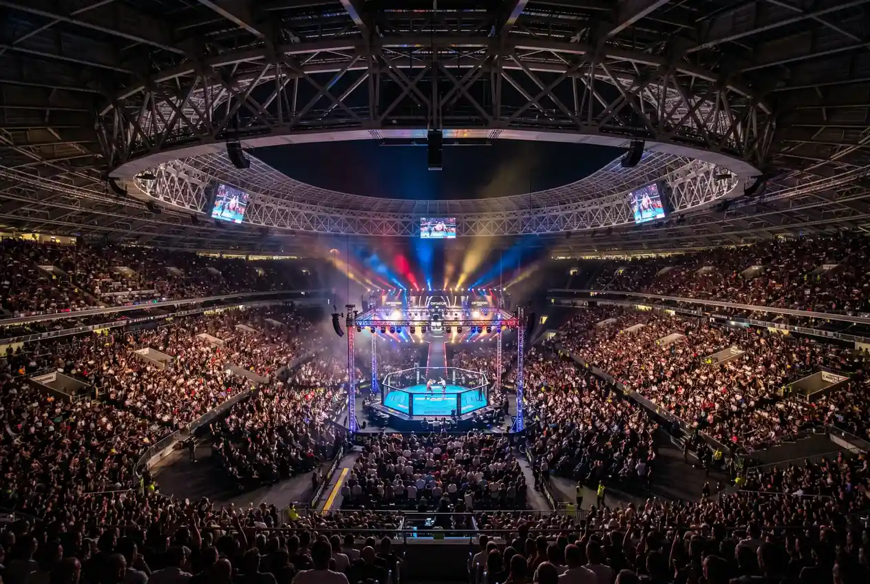 Oktagon MMA Wetten und europäisches MMA im Wettkontext