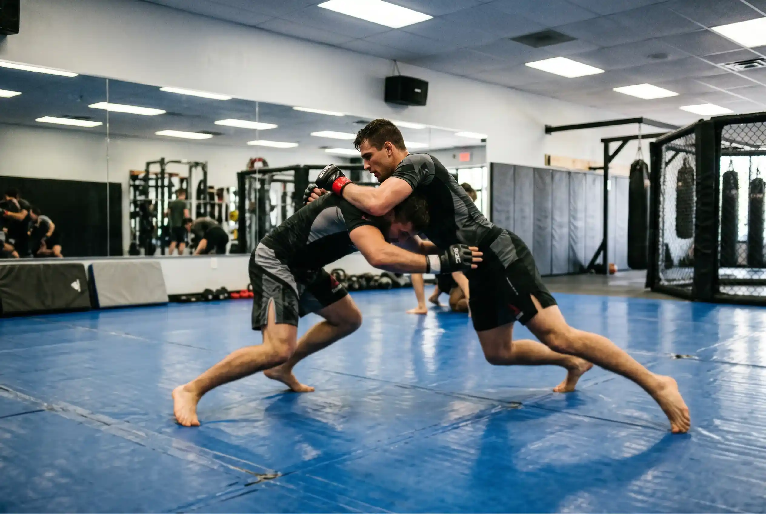 Takedown Defense Statistiken für UFC Wetten und MMA Analyse