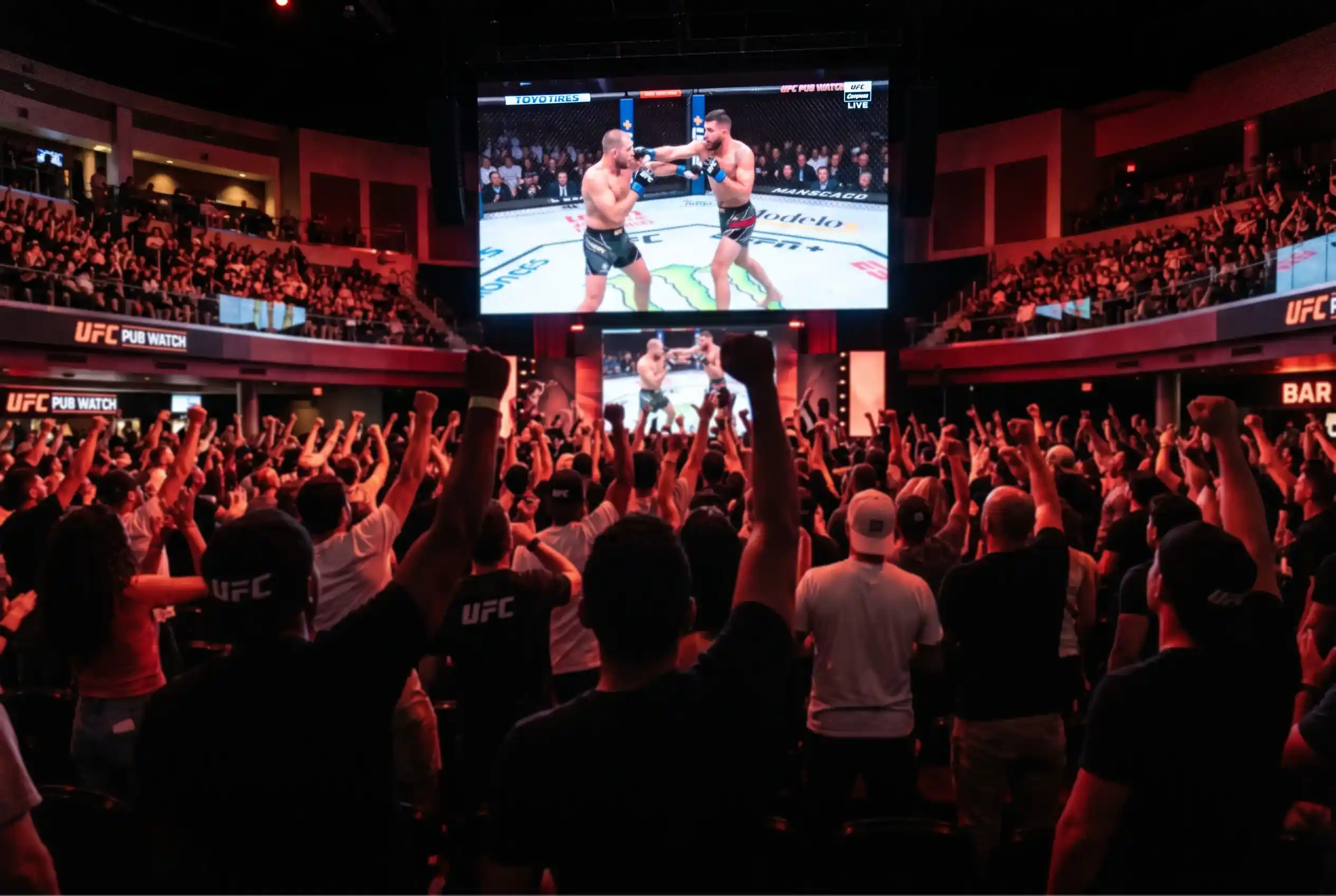 UFC Fanbasis und Demografie im Kontext von MMA Sportwetten