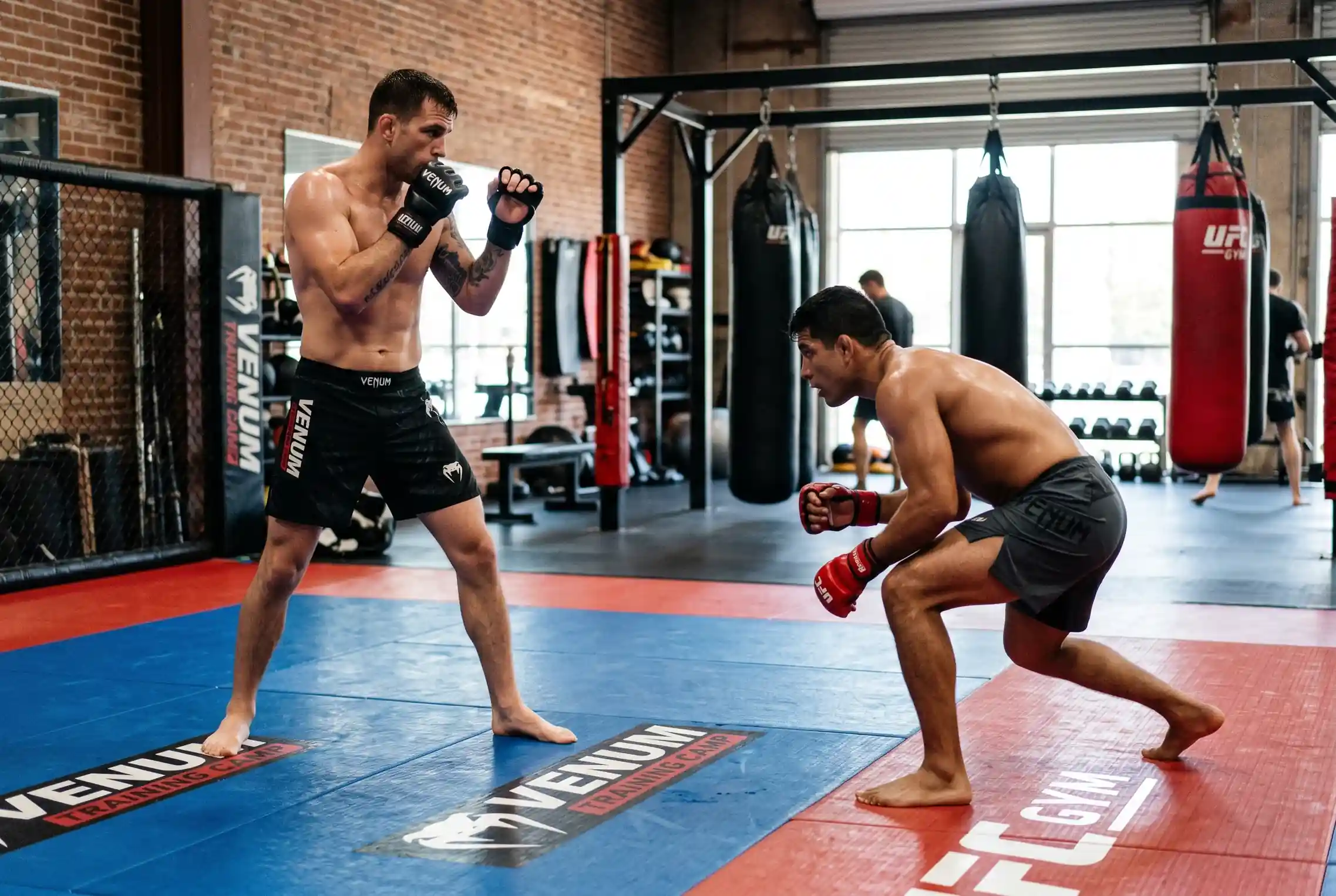 UFC Kampfstile Analyse für Sportwetten - Striker, Grappler und Wrestler
